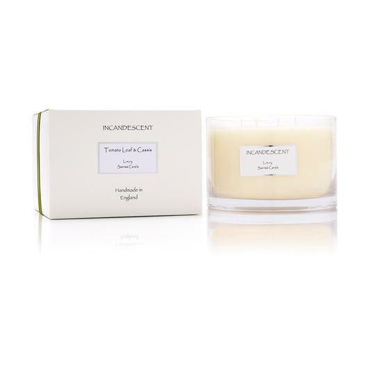 TOMATO LEAF & CASSIS large 4 wick candle 1000g
